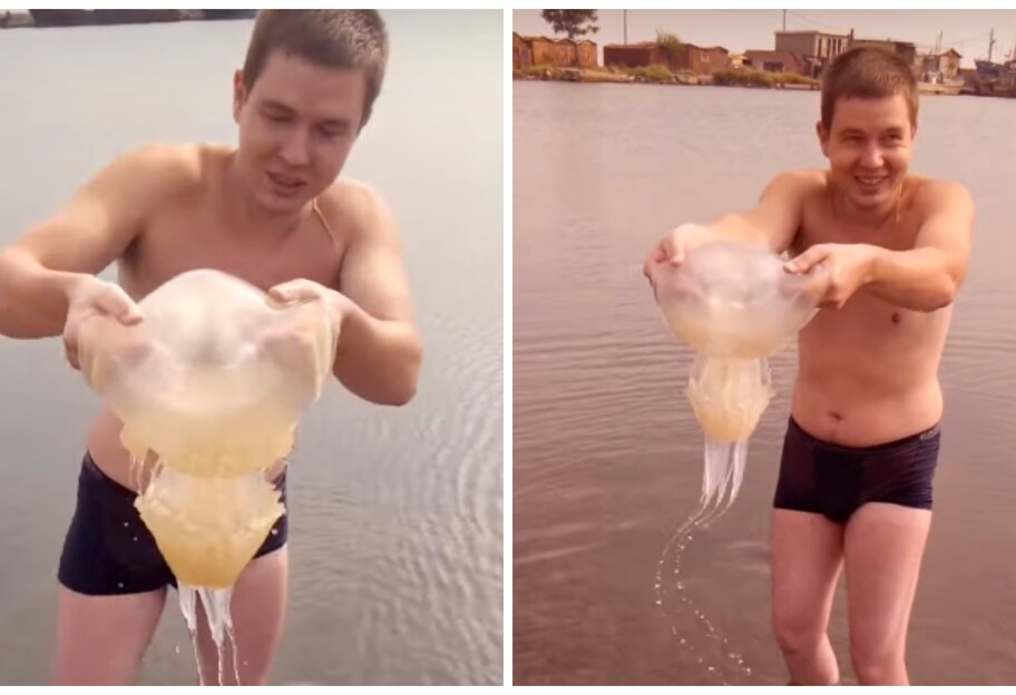 Медузы в Бердянске - огромные животные заполонили прибрежную зону - видео - фото 1