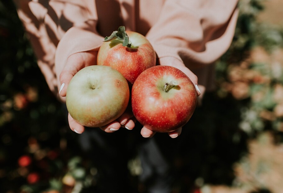 Яблучний Спас і День пасічника - що відзначаємо 19 серпня - фото - фото 1