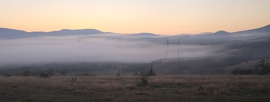 Появились фото спасенных детей, которые провели целую ночь в лесу