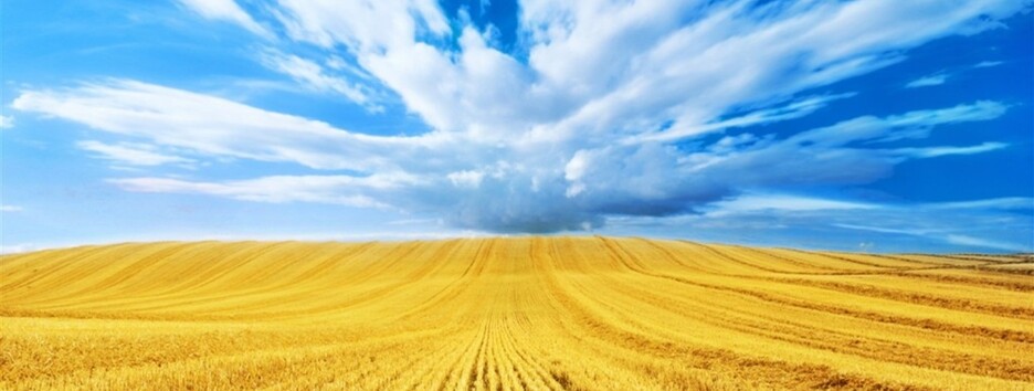 С Днем Независимости! Поздравления с 30-летием Украины в стихах и прозе