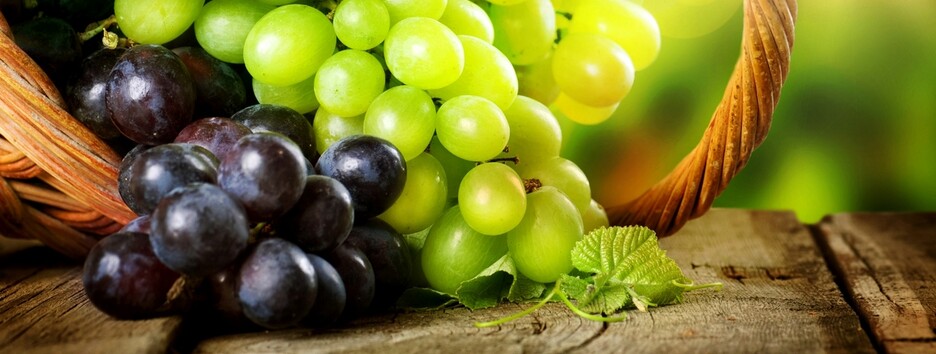 Виноград корисний не для всіх: що важливо знати про властивості ягоди