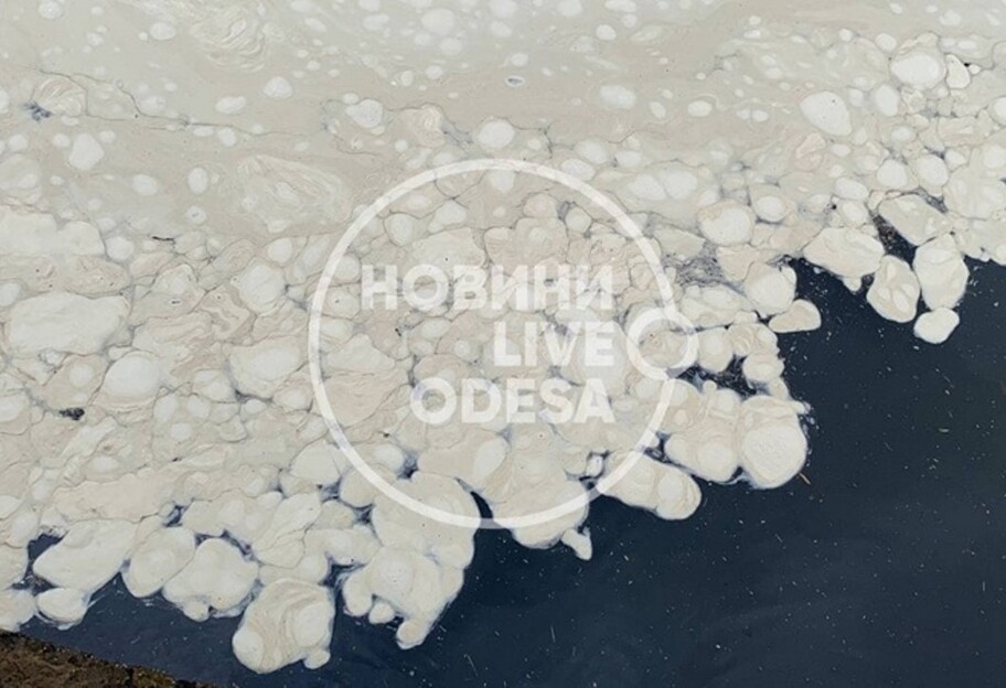 Море в Одессе море покрылось белой пеной, на пляже вонь - видео - фото 1