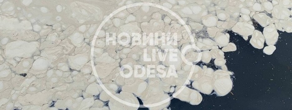 Сморід і дивна піна: в Одесі знову скаржаться на стан моря (відео)