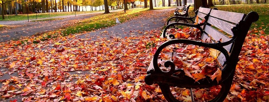 Лето на исходе: в Киеве стремительно похолодает на 10 градусов