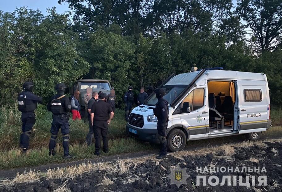 В Одесской области орудовали черные лесорубы, ими управлял слуга народа - видео - фото 1