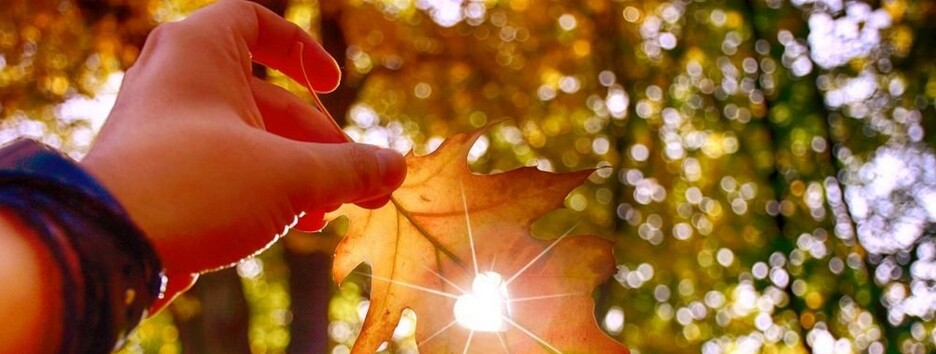 Сентябрь начался с похолодания, но осенью еще будет +25: названы даты