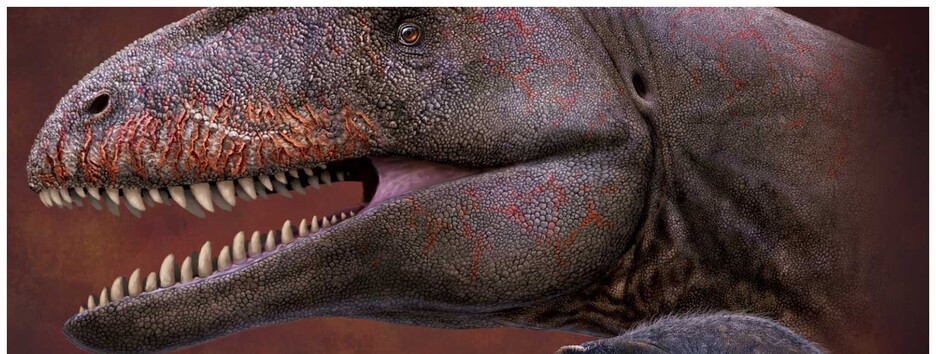 Ученые нашли останки предка тираннозавра с 