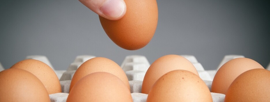 Користь і шкода яєць: вчені розрахували оптимальну кількість