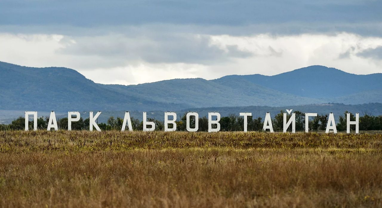 У кримському зоопарку тигр напав на однорічної дитини: відкусив палець фото