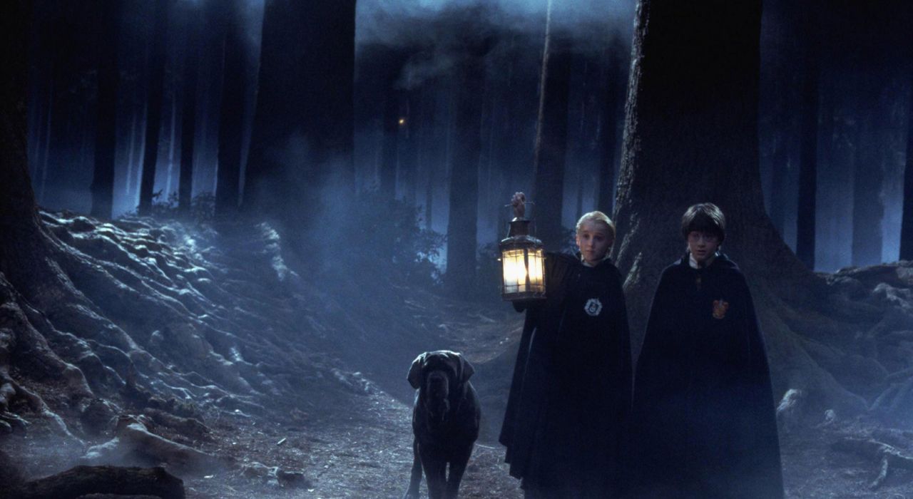 В британском Музее Гарри Поттера откроют Запретный лес