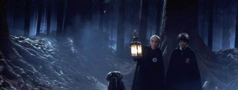 В британском Музее Гарри Поттера откроют Запретный лес