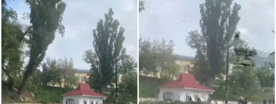 В Киеве в шаге от мужчины упало большое дерево: он даже не убегал (видео)