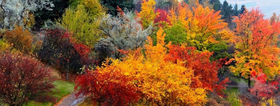 Выходные будут контрастными: заморозки с утра и +18 днем