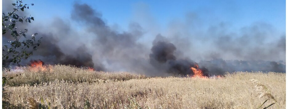 Велика пожежа у Балаклії: полум'я добралося до житлових будинків (відео)