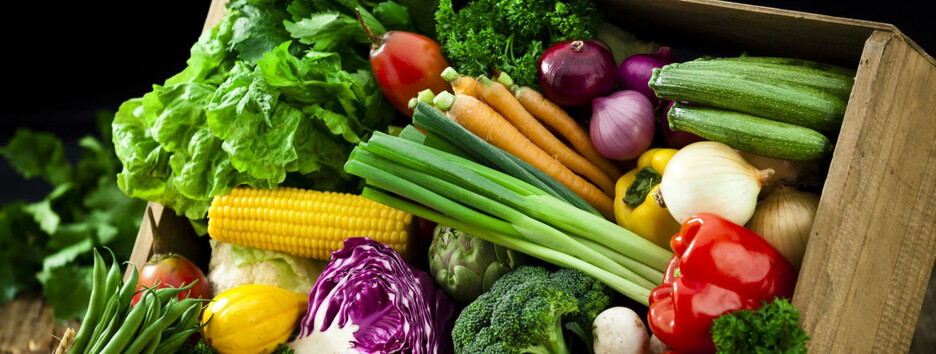 Дієтолог назвала вітаміни і мінерали, яких не вистачає вегетаріанцям