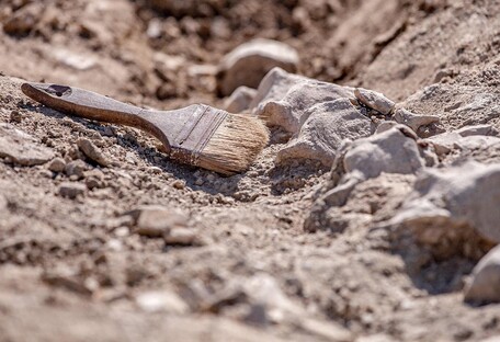 Найдены самые старые следы человека: отметинам более 6 миллиона лет 