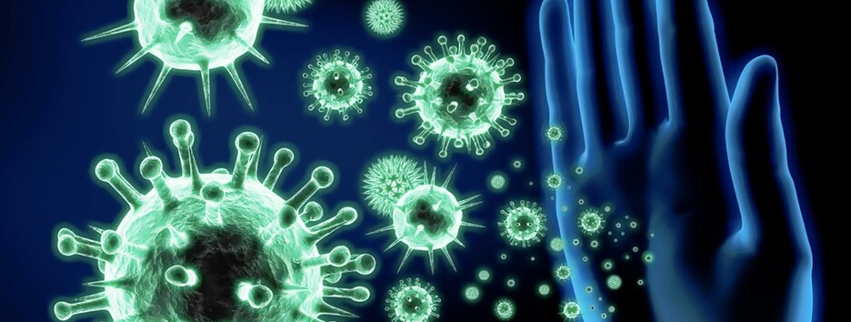 Сколько держится иммунитет после COVID-19: ответ ученых