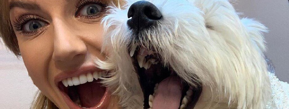 Мода на маленьких і пухнастих: українські зірки показали своїх улюбленців