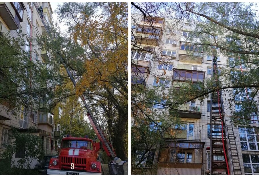 Пожар в Киеве унес жизни двух человек - фото - фото 1