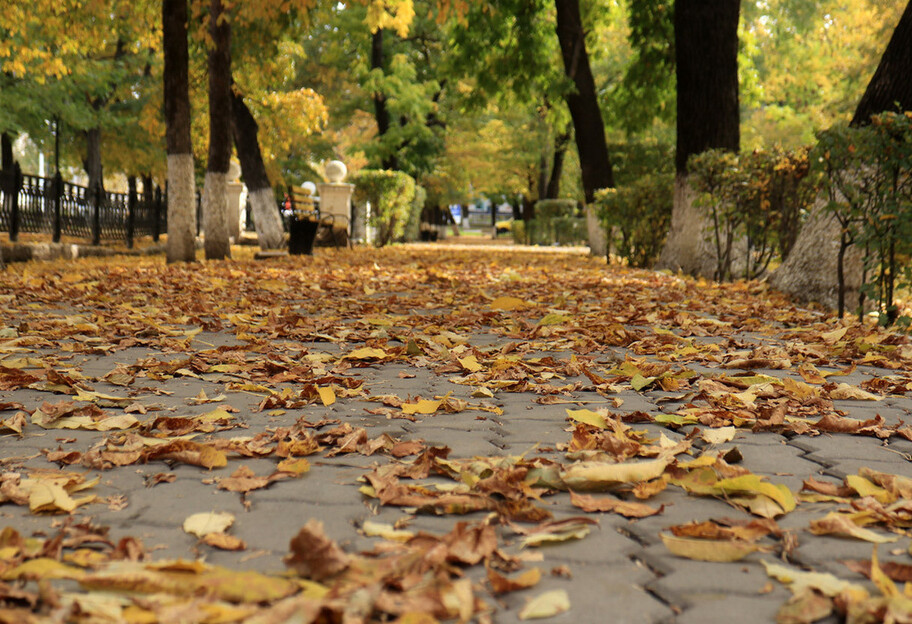 Погода в Украине 22 октября - будет тепло, но на выходных похолодает  - фото 1