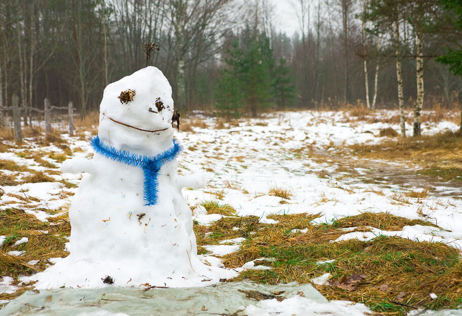 Погода в Україні у листопаді і взимку - чи буде сніг на Новий рік, з'явився прогноз - фото 1