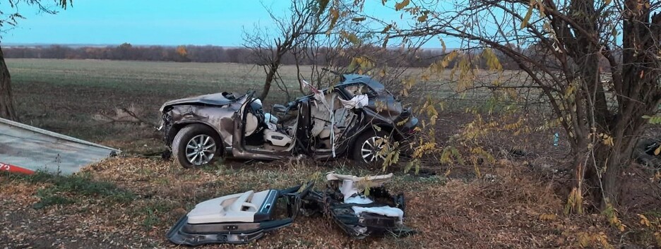 Под Херсоном Volkswagen влетел в дерево: четверо погибших, двое пострадавших (фото) 