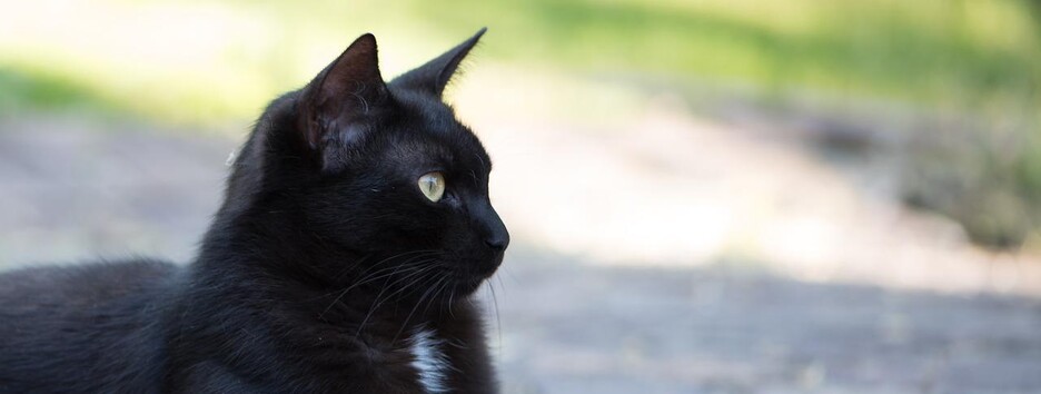 Как уберечься от несчастий: 13 примет того, что вам грозит опасность