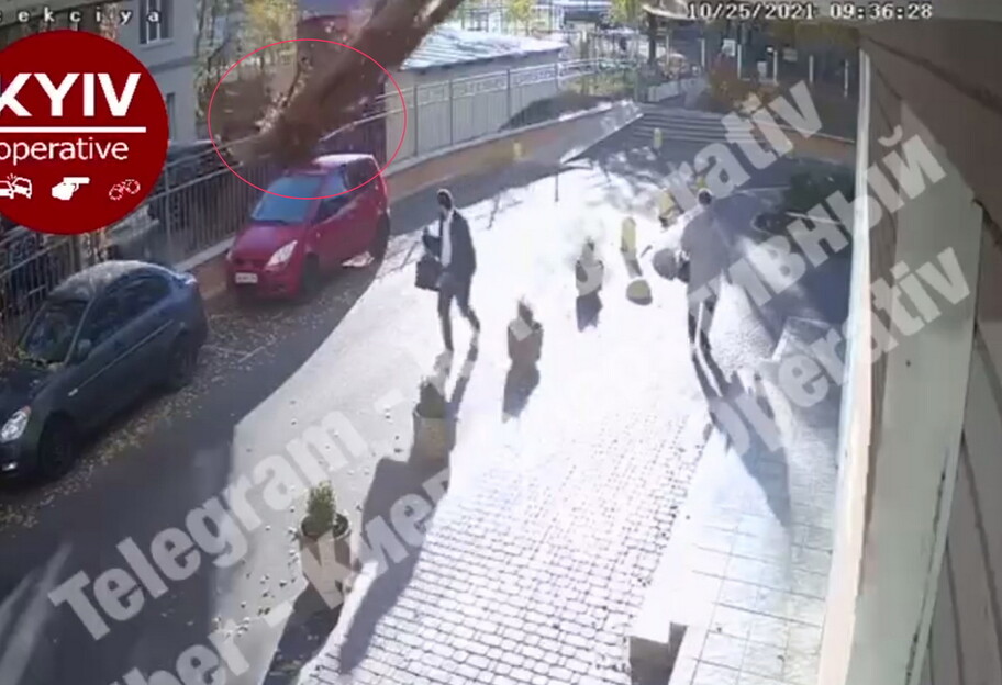В Киеве упало дерево на машину - пешеходы успели убежать, видео  - фото 1