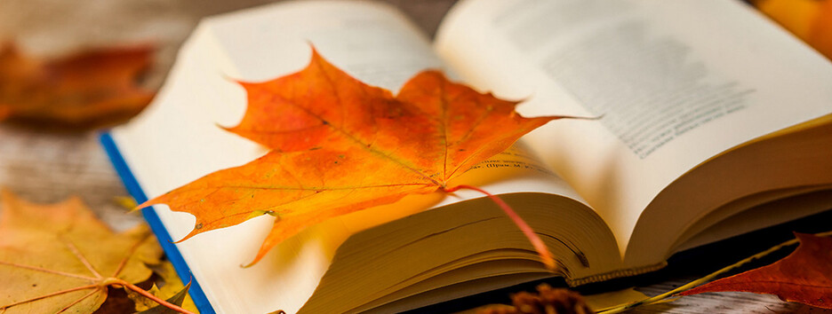 Антициклон забезпечить українцям сонячні вихідні: повітря прогріється до 18 градусів