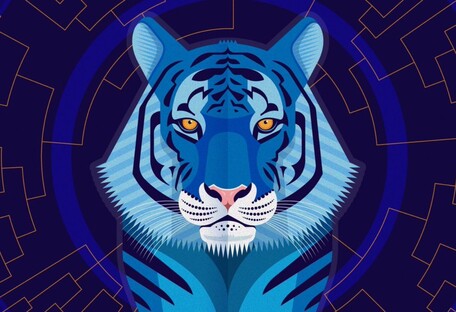 Чего ждать от судьбы в год Водяного Тигра: прогноз астрологов на 2022