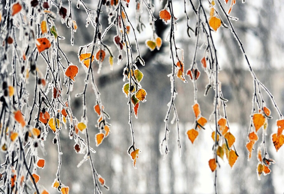 Погода в Украине - на этой неделе похолодает, морозы до 12 градусов - фото 1