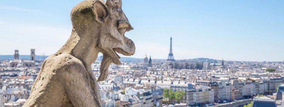 Почему люди испугались гибрида человека и свиньи?