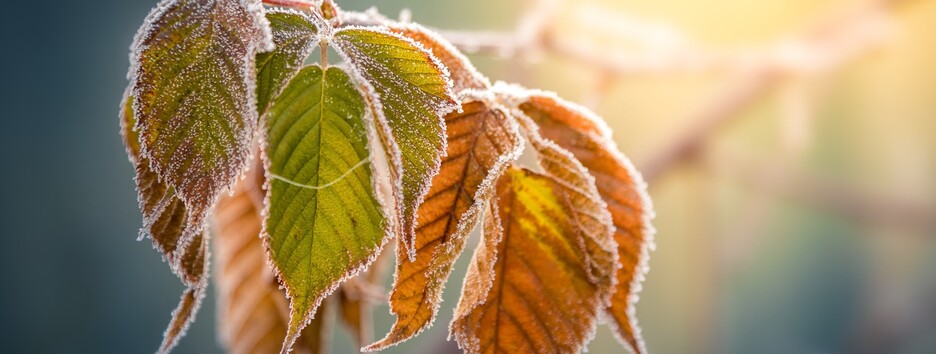 Прогноз погоды на выходные 13–14 ноября: ясные дни и морозные ночи