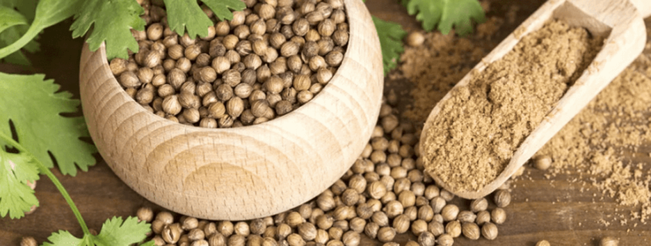 Чим корисний коріандр і як його застосовувати: поради 