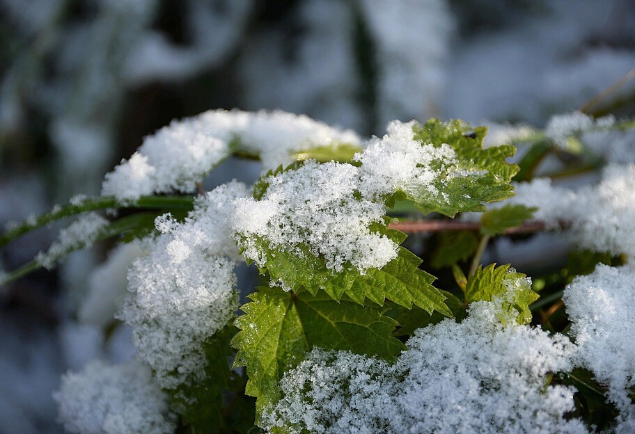 Погода в Україні на тиждень - коли будуть дощі та мокрий сніг - фото 1