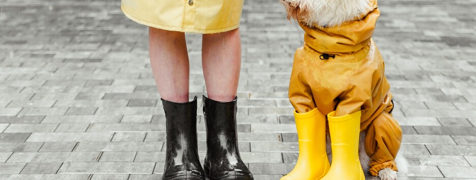 Первый снег в Киеве откладывается: синоптики уточнили, когда придет зима