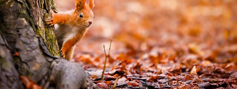 Будет тепло и дожди сойдут на нет: синоптик порадовала прогнозом на выходные