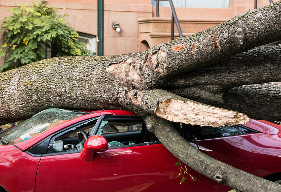 Негода у Києві повалила дерева - постраждали три авто, відео - фото 1