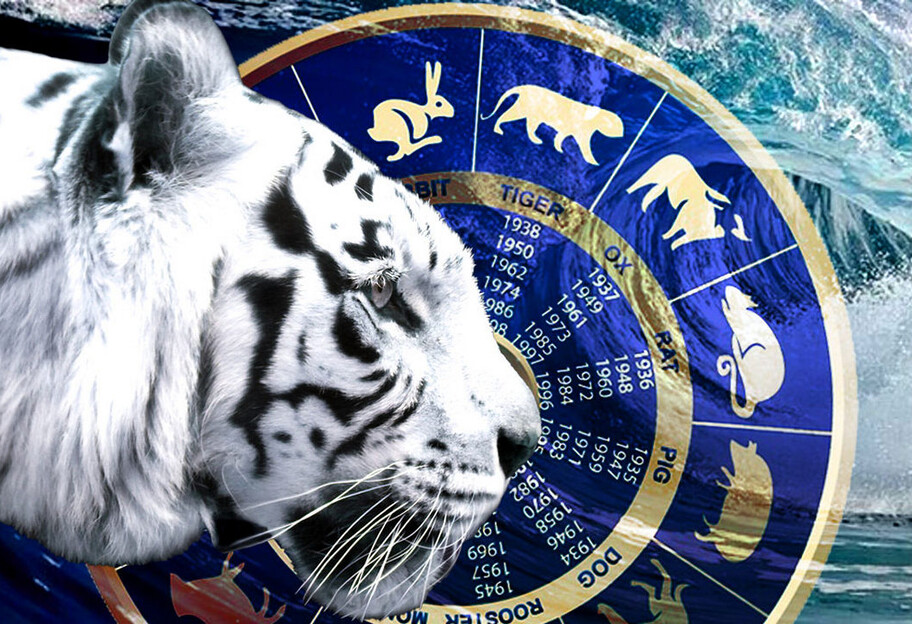 Гороскоп на 2022 год – кому из знаков Зодиака Водяной Тигр принесет неприятности - фото 1