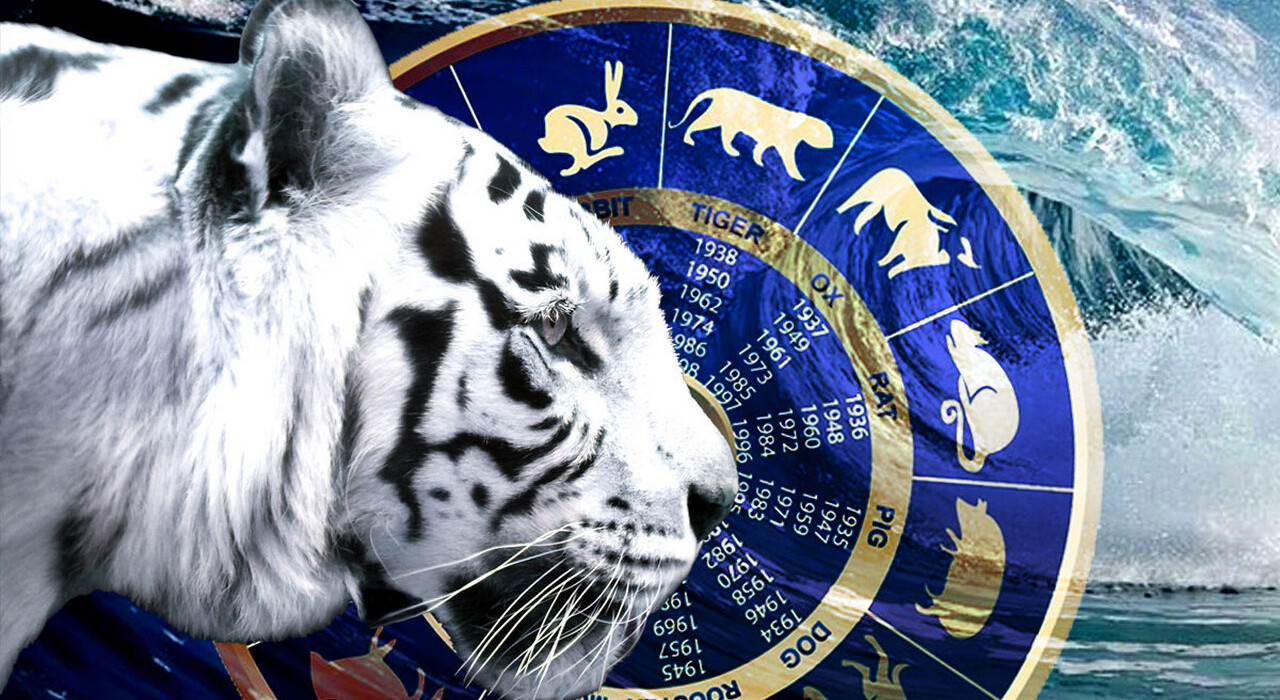 Гороскоп тигр апрель 2024. 2022 Год черного водяного тигра. Год тигра 2022. Го тигра. Новый год тигра.