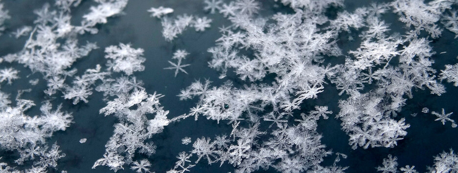 У Києві перший сніг: синоптик попередила, що дороги може засипати 