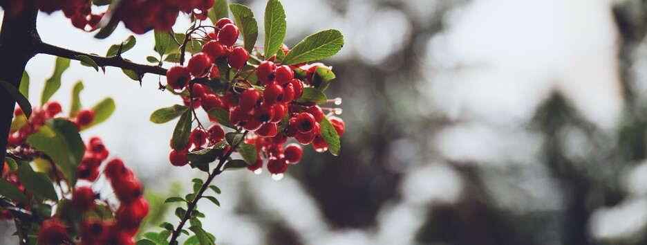 Настоящая зима в Украине начнется еще до декабря: прогноз по городам