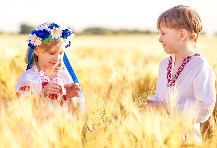 Образование в Украине - в Раду внесен законопроект про военно-патриотическое воспитание детей - фото 1