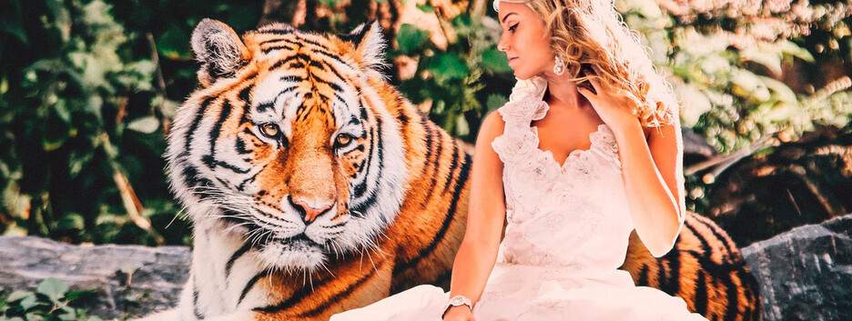 Китайский гороскоп на год Тигра: кому повезет в 2022 году 