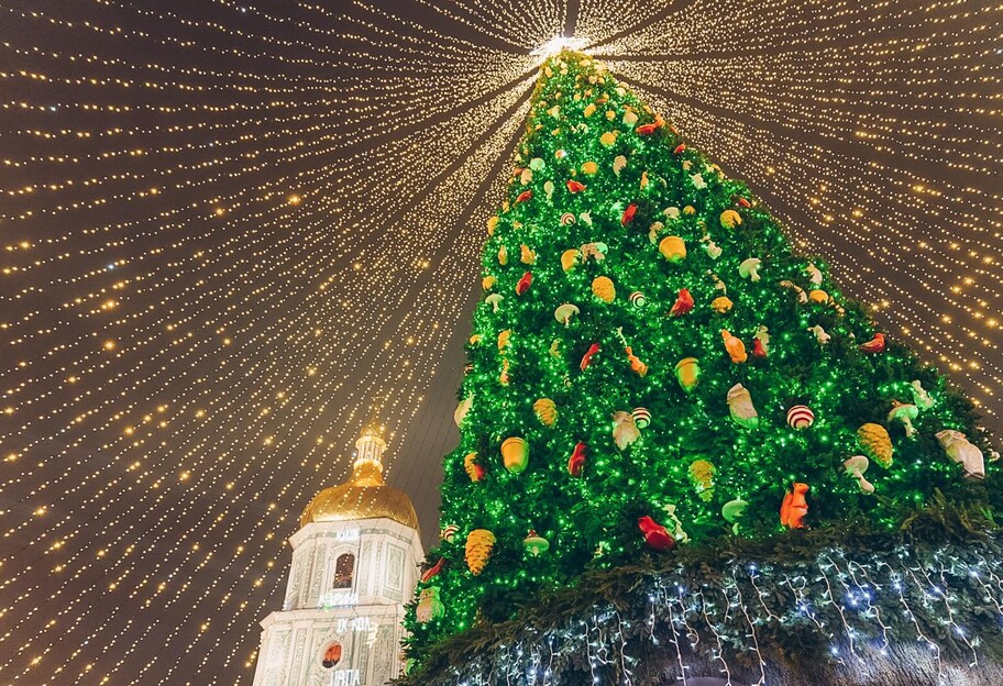 Новий рік у Києві - головна ялинка скоро буде готова, фото - фото 1