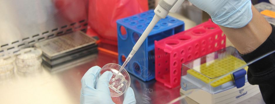 Регулярный анализ крови помогает выявить рак на ранней стадии