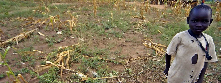 Рукотворный голод нашего времени