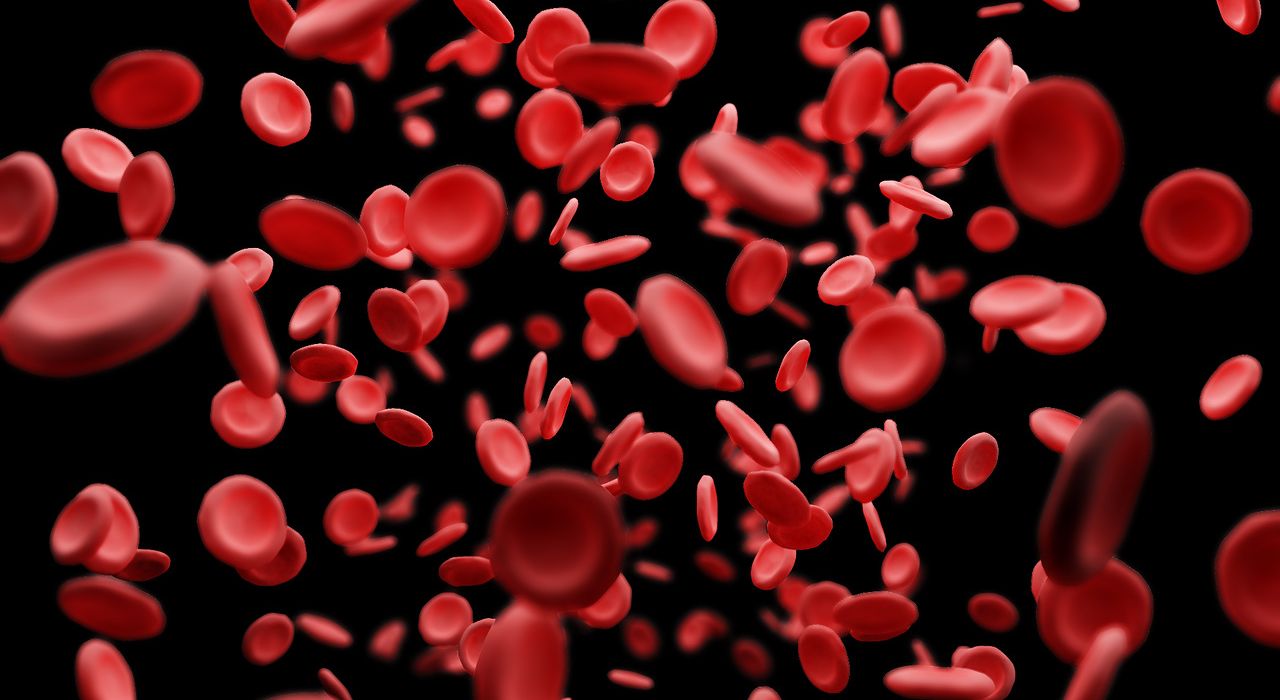 Ученые нашли способ «омоложения» крови с помощью регенерации клеток