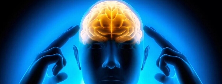 Как работает мозг каждого знака Зодиака: астрологи дали ответ 