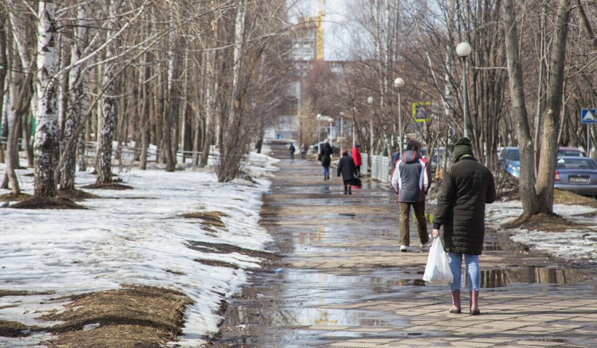 Зима в Україні буде аномально теплою: прогноз метеоролога